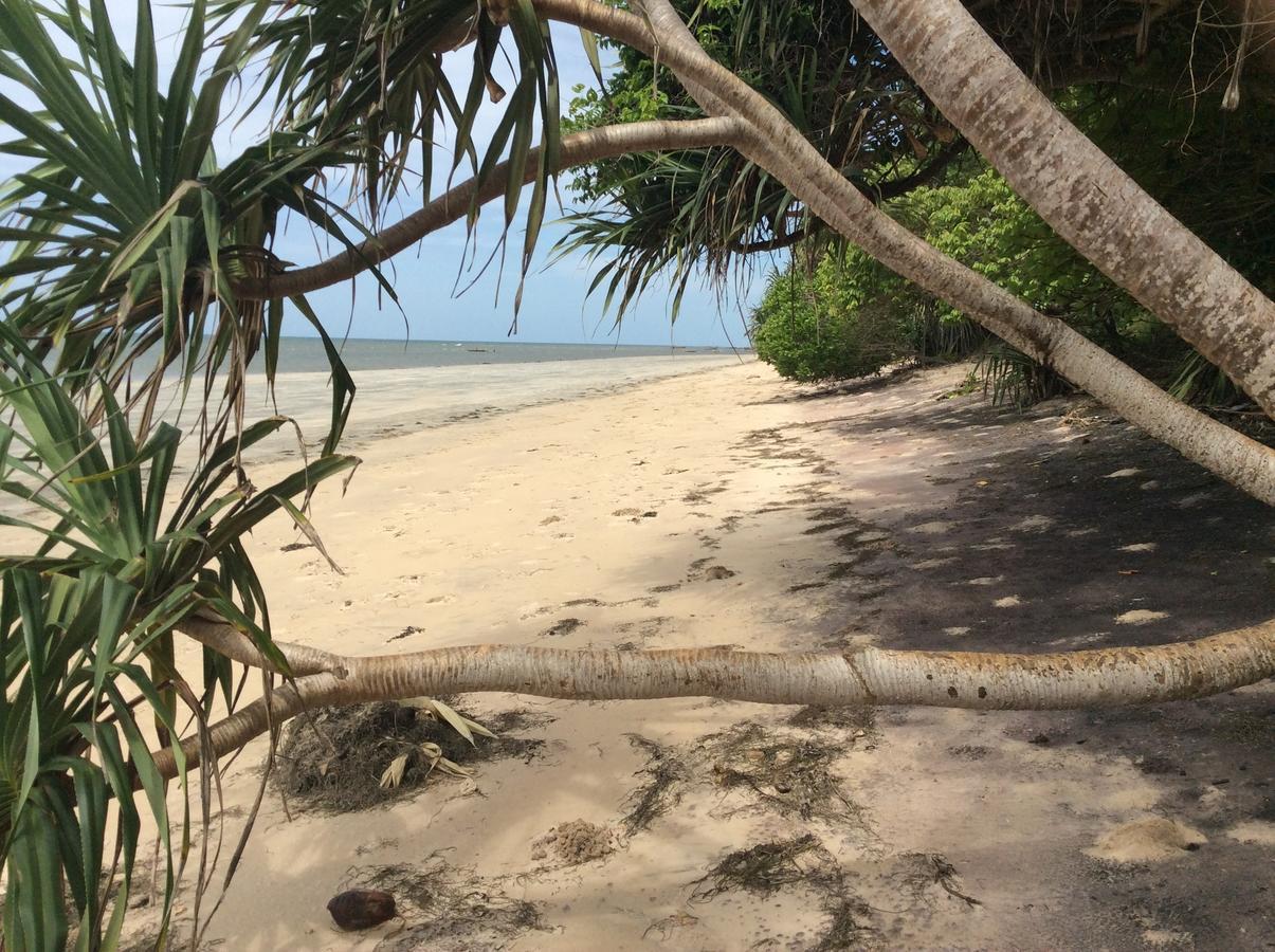 Peponi Beach Resort Pangani Экстерьер фото