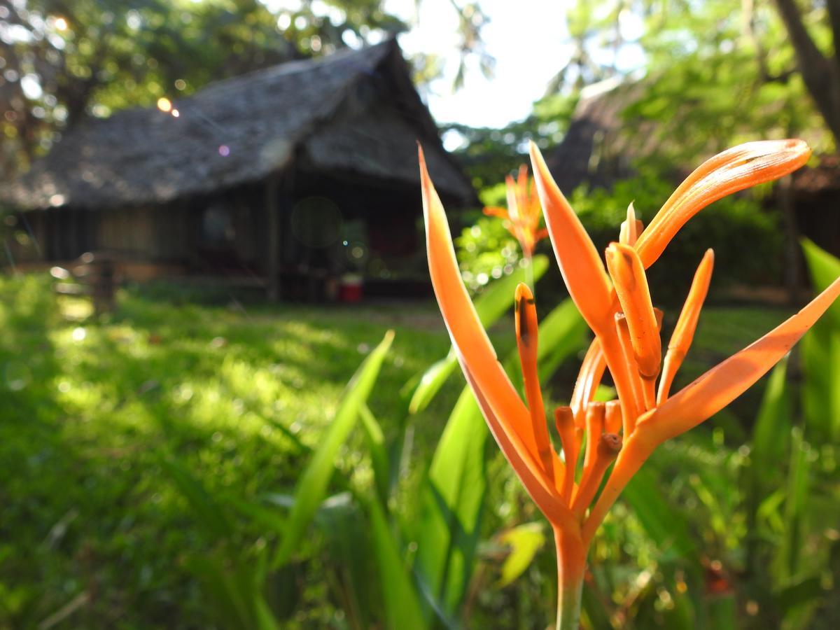Peponi Beach Resort Pangani Экстерьер фото